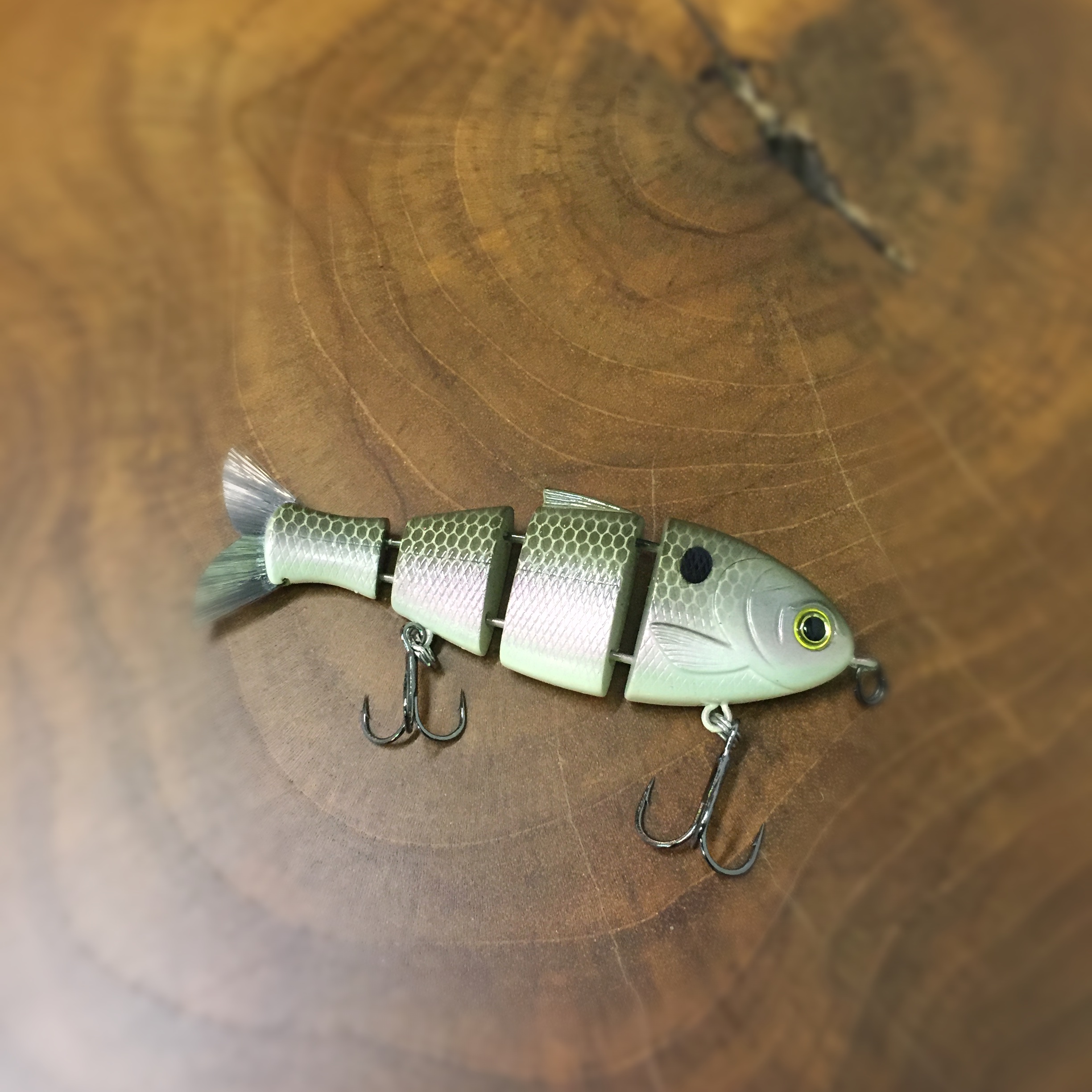 bucca shad